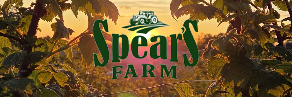 Spear's Farm, Grocery